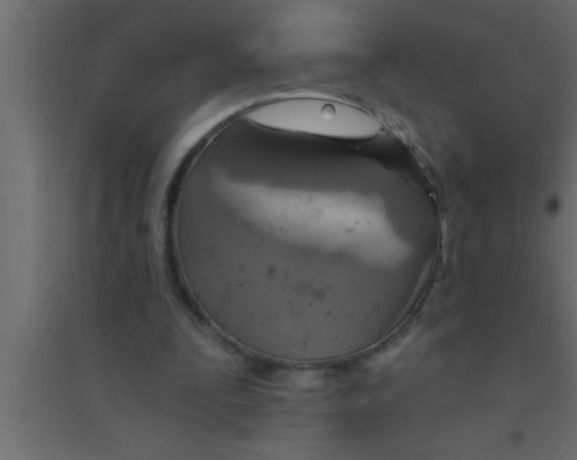 X0000094210295200711241706