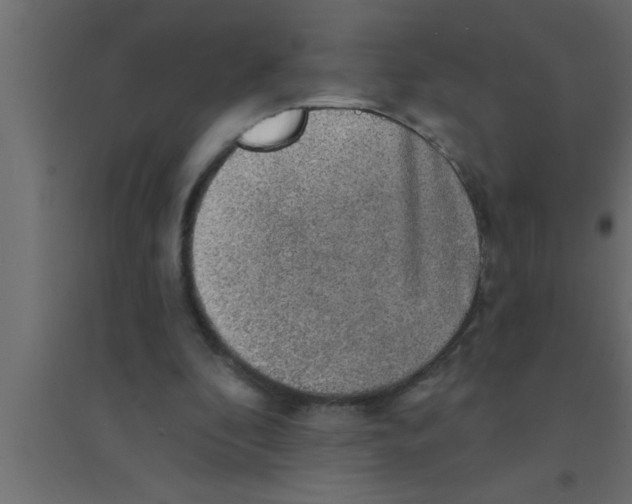 X0000094210296200711241706