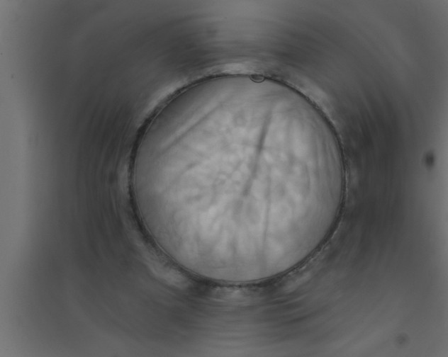 X0000094210297200711241706