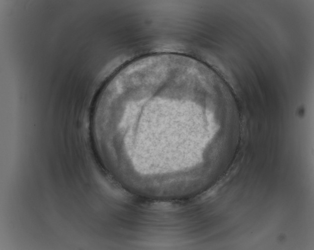 X0000094210298200711241706