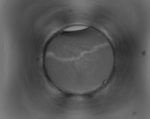 X0000094210299200711241706