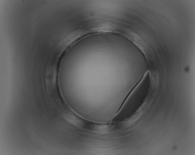 X0000094210301200711241706