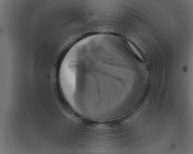 X0000094210303200711241705