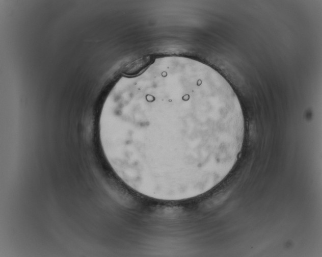 X0000094210304200711241705