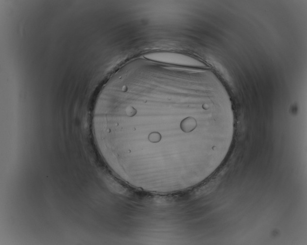 X0000094210305200711241705