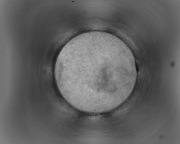 X0000094210306200711241705