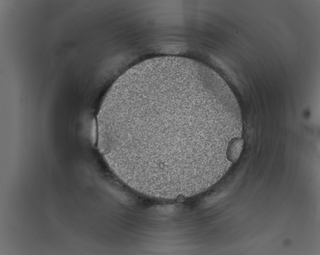 X0000094210307200711241705