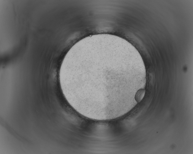 X0000094210308200711241705