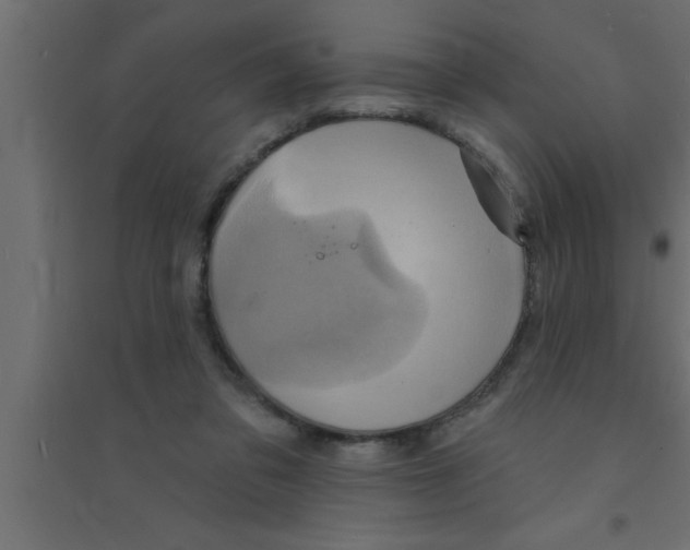 X0000094210309200711241705