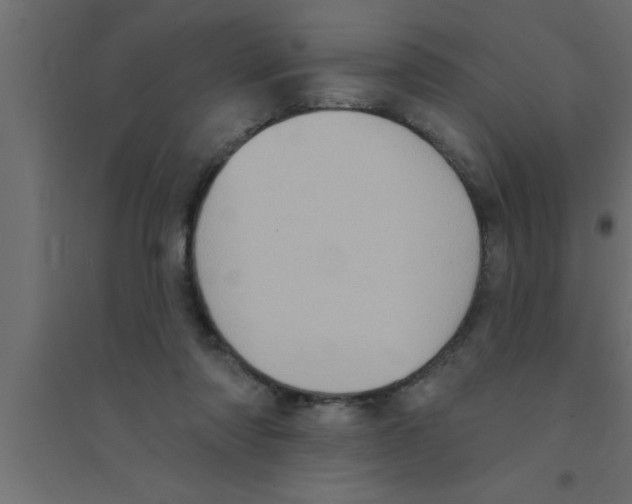 X0000094210310200711241705