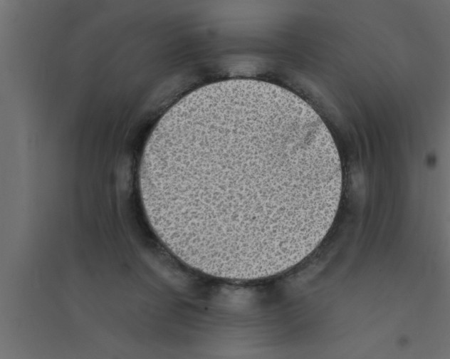 X0000094210311200711241705