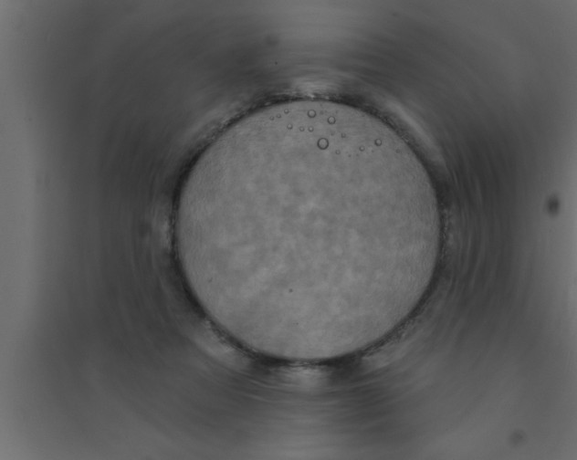 X0000094210313200711241705