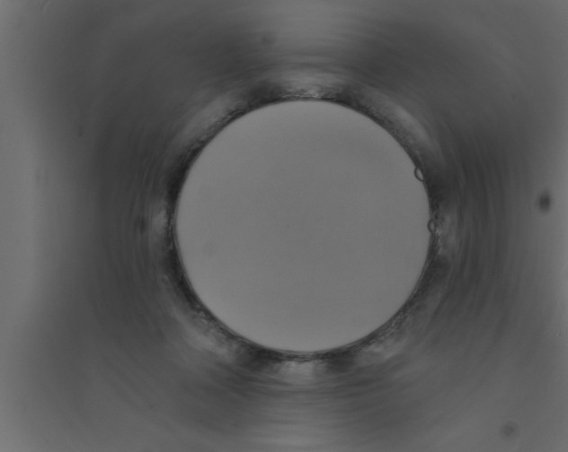 X0000094210314200711241705
