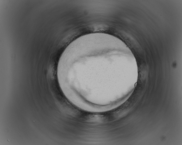 X0000094210316200711241705