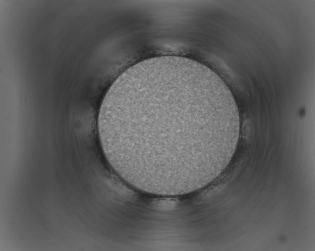 X0000094210318200711241705