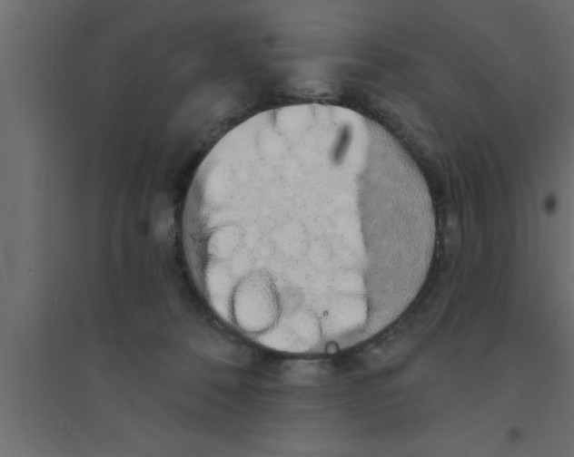 X0000094210320200711241705