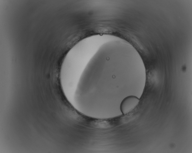 X0000094210322200711241705