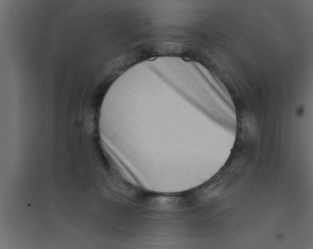 X0000094210323200711241705