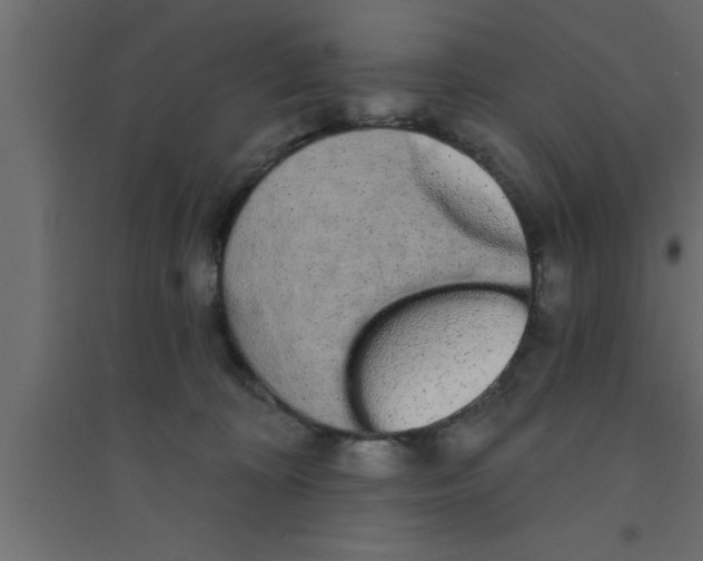 X0000094210324200711241705