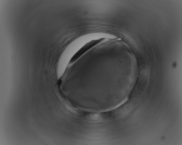 X0000094210325200711241705