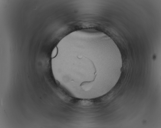 X0000094210327200711241705