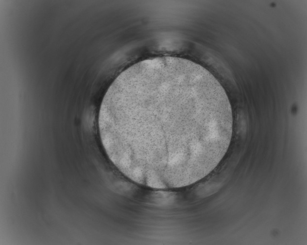 X0000094210328200711241705