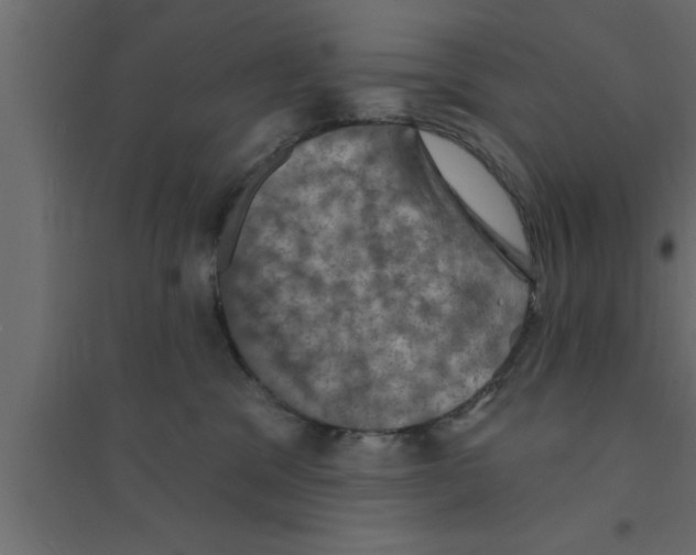X0000094210329200711241705
