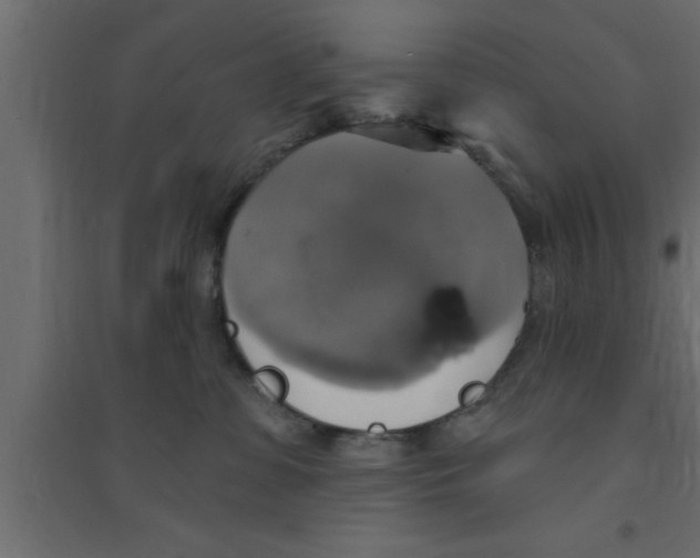 X0000094210331200711241705
