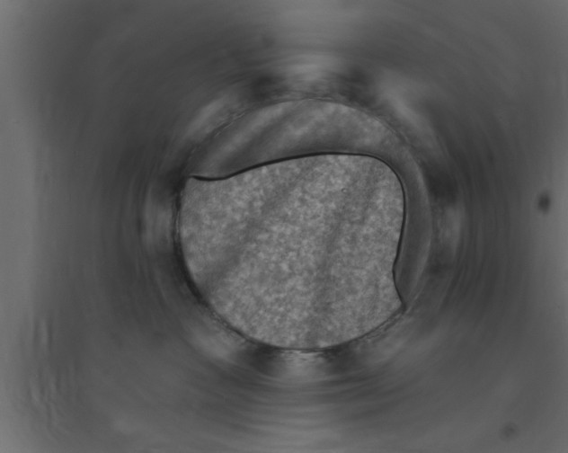 X0000094210333200711241705