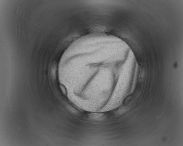 X0000094210334200711241705