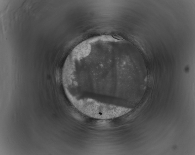 X0000094210335200711241705