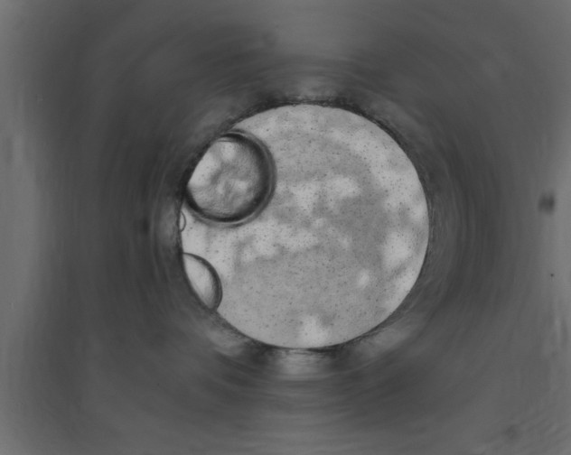 X0000094210336200711241705