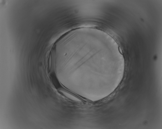 X0000094210337200711241704