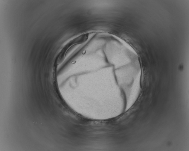 X0000094210338200711241704