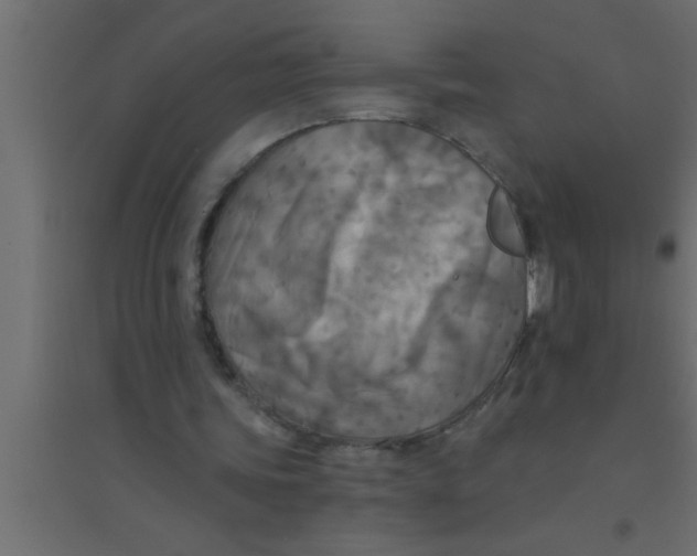 X0000094210339200711241704