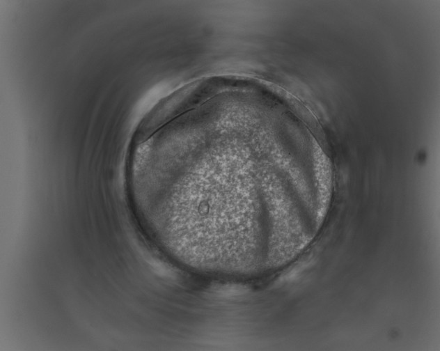 X0000094210340200711241704