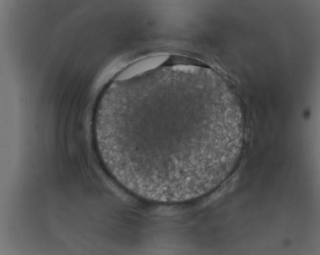 X0000094210341200711241704