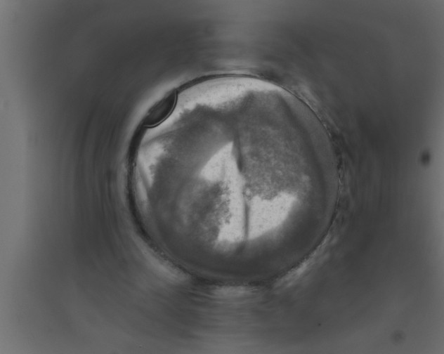 X0000094210342200711241704