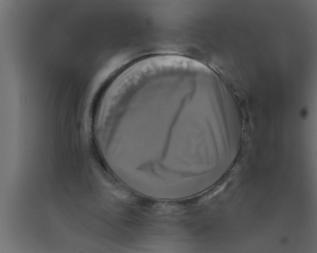 X0000094210343200711241704