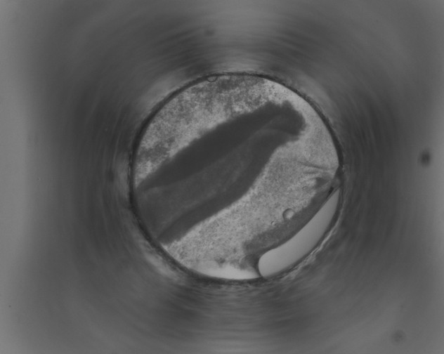 X0000094210345200711241704