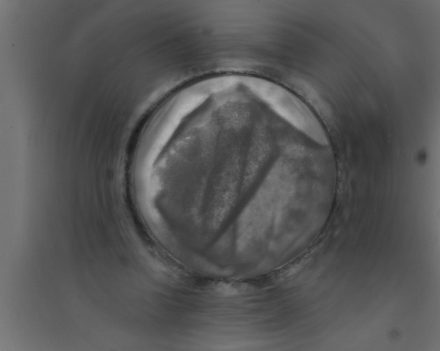 X0000094210346200711241704