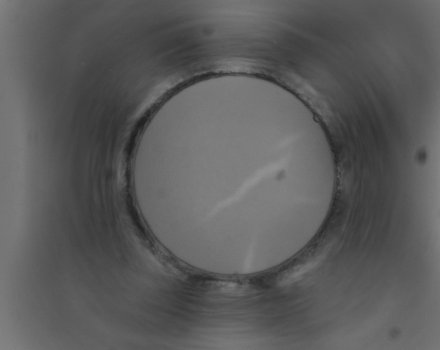 X0000094210347200711241704
