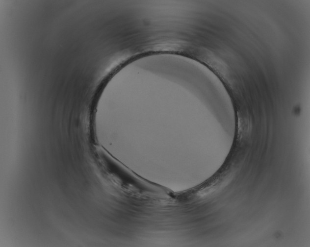 X0000094210348200711241705