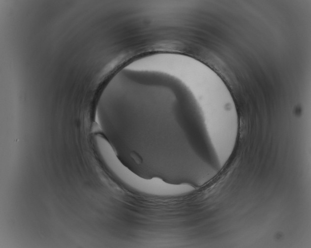 X0000094210349200711241705