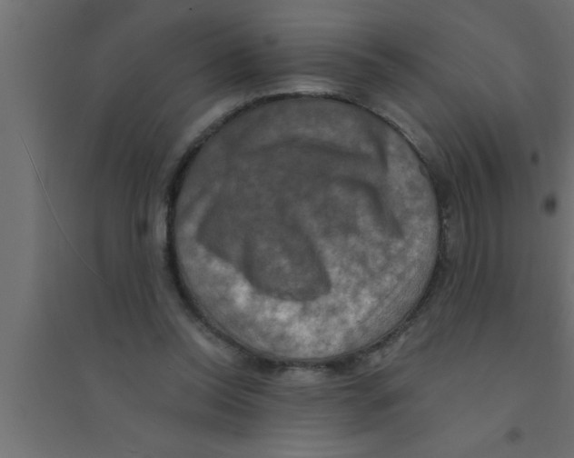X0000094210350200711241705