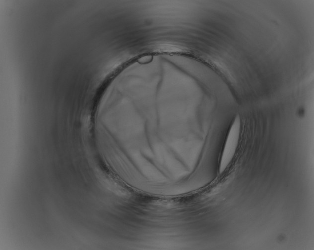X0000094210351200711241705