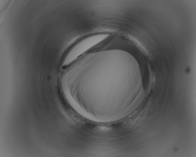 X0000094210352200711241705