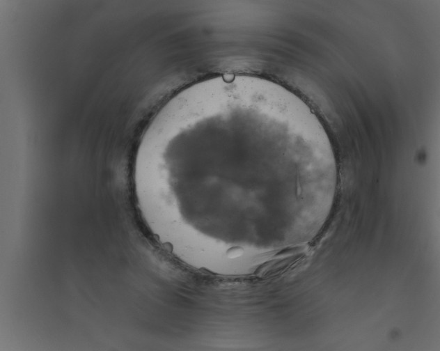 X0000094210353200711241705