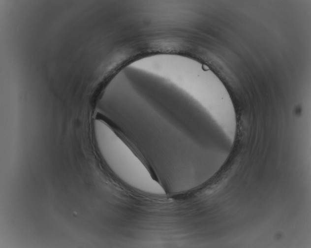 X0000094210355200711241705