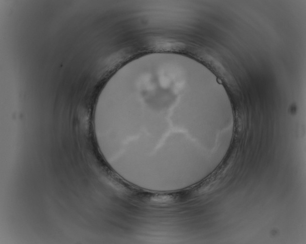 X0000094210357200711241705